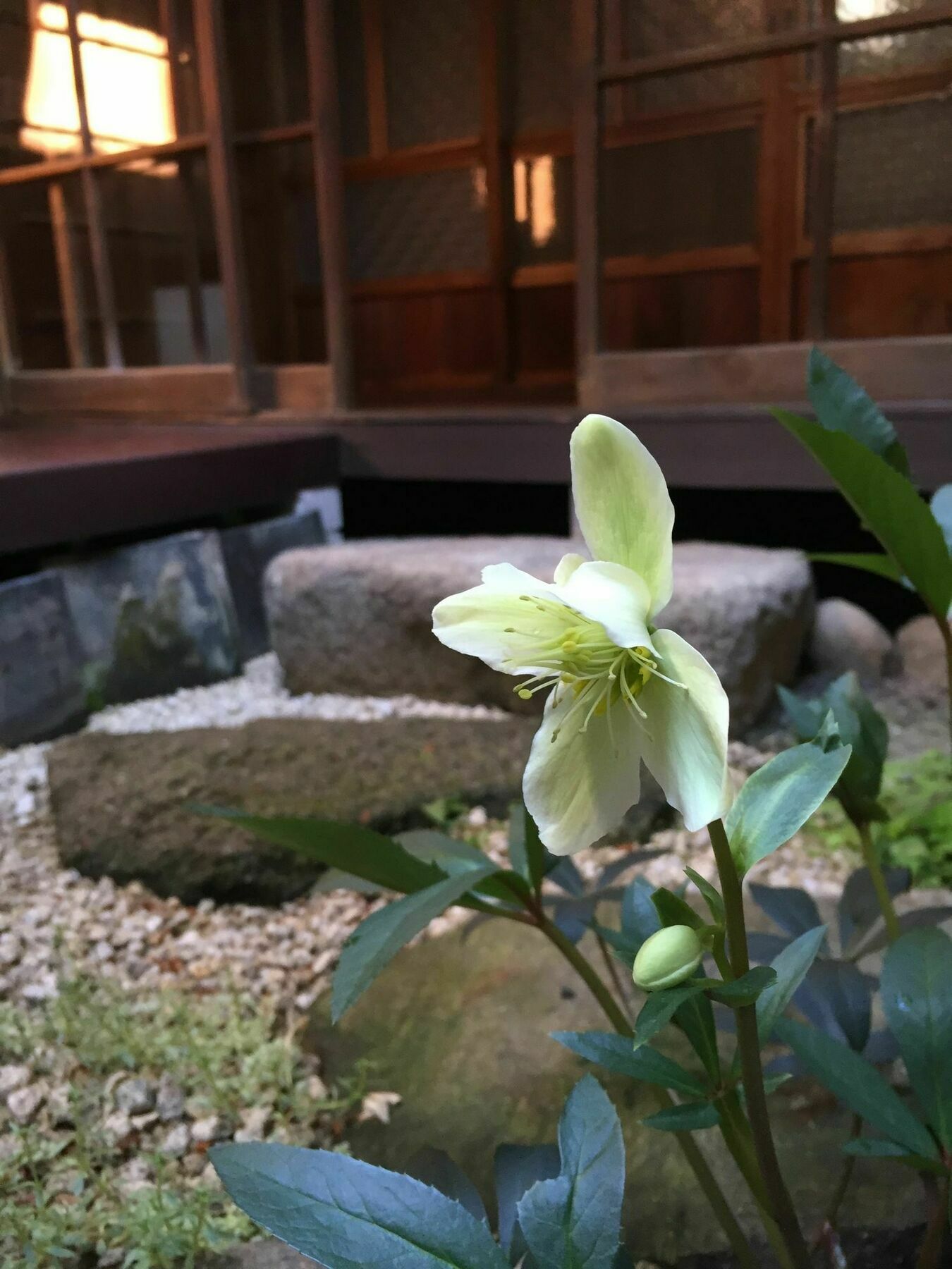ゲストハウス君彩家 Kimidoriya * Ōsaka